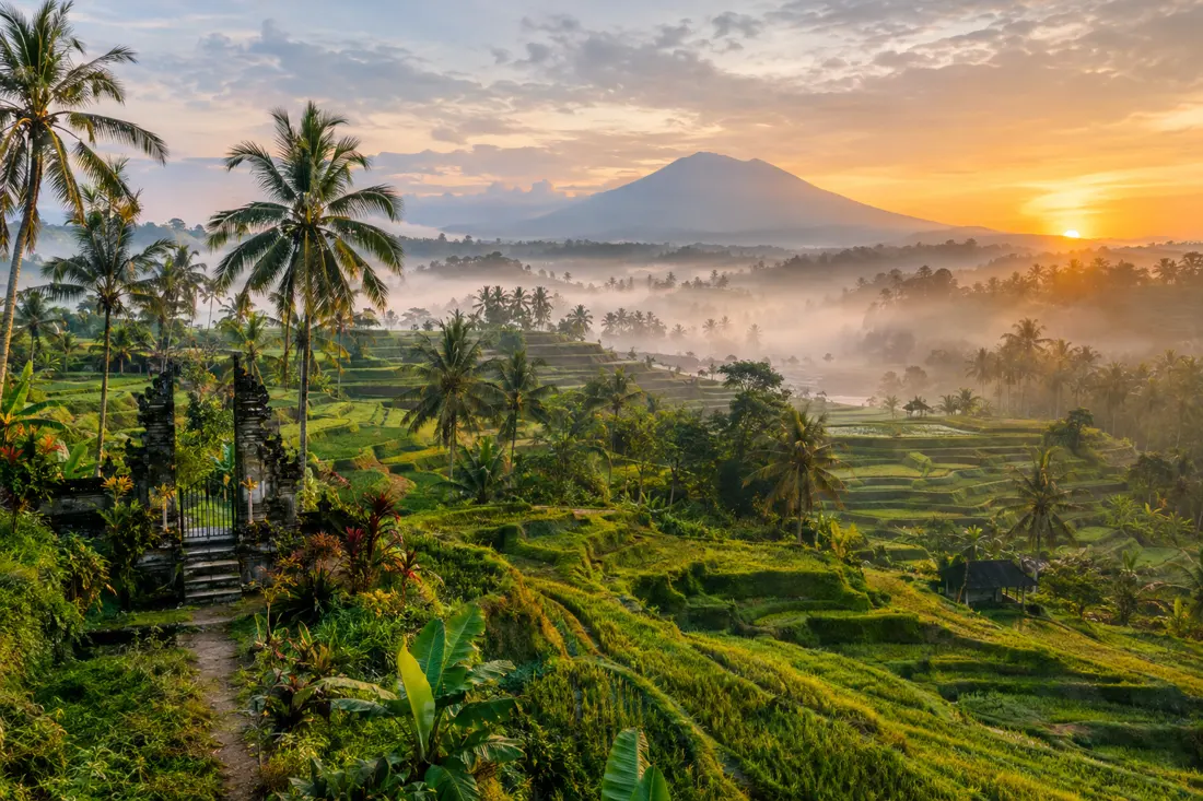 Bali
